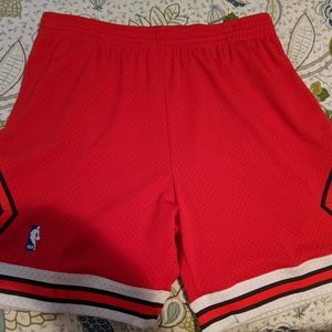 Chicago Bulls Mitchell and Ness shorts